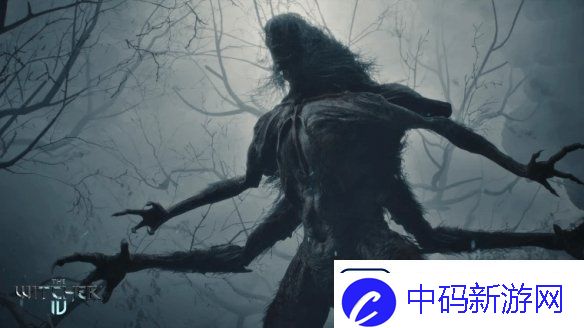 巫师4总监