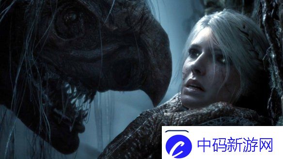 巫师4总监