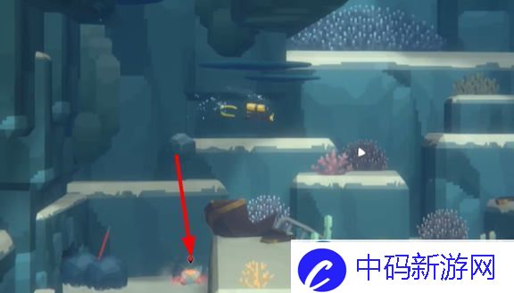 潜水员戴夫教你如何有效捕捉螃蟹的技巧与方法