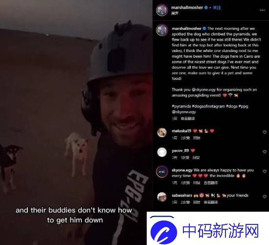 游你扯淡