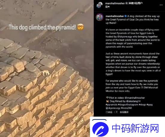 游你扯淡