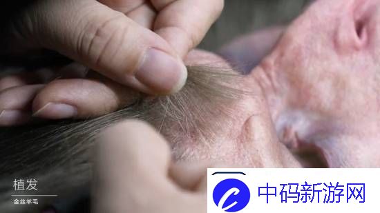黑神话半身像幕后大揭秘！33800元