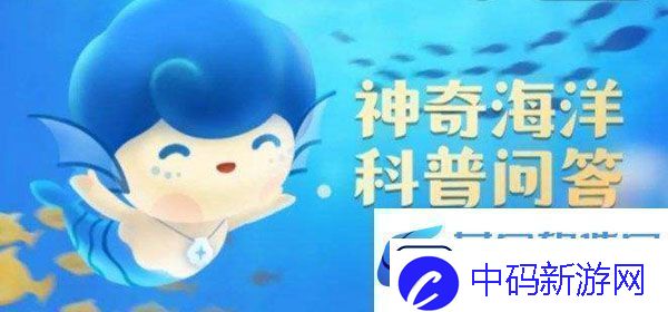 鲸类中