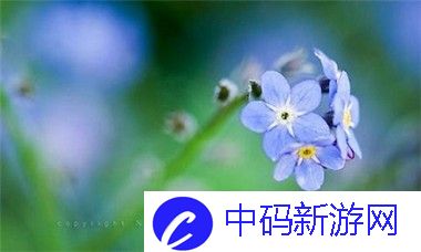 原神狼的末路究竟适合哪些角色-快来看看推荐吧！
