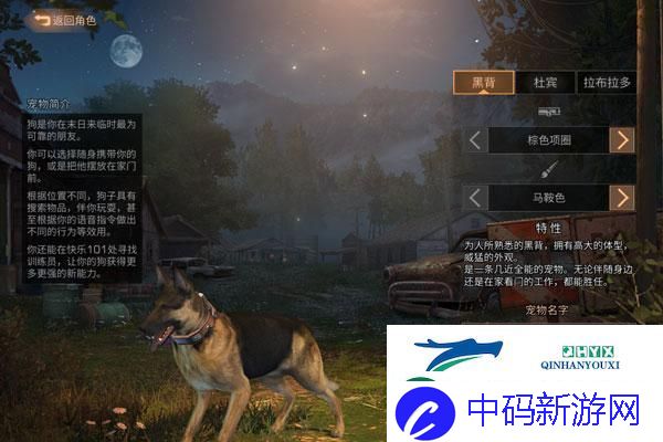 梦幻西游109东海渊装备怎么配