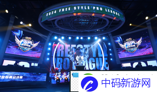 街头篮球FSPL总决赛落幕