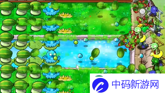 植物大战僵尸杂交版泳池防守第六关怎么过