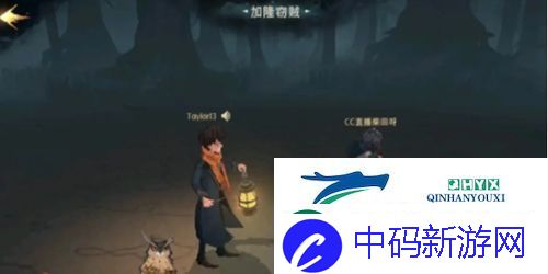 哈利波特魔法觉醒双人剑宗哈利怎么打：副本打法攻略