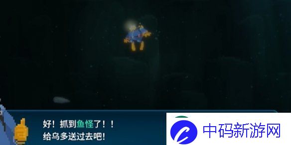 潜水员戴夫棱镜帆鳍鲂怎么抓