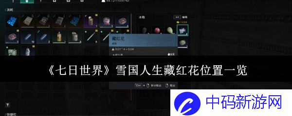 《七日世界》中雪国人生藏红花的位置究竟如何揭示？一探梅香雪韵